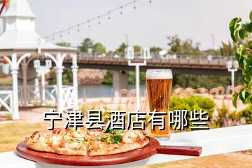 宁津县酒店有哪些