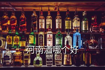 河南酒哪个好