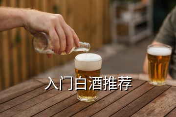 入门白酒推荐