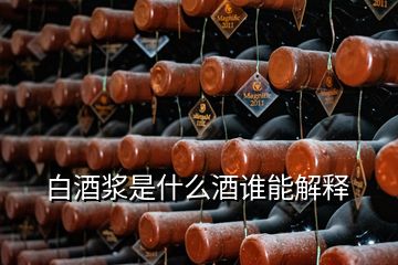 白酒浆是什么酒谁能解释