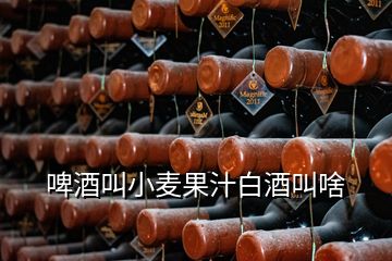 啤酒叫小麦果汁白酒叫啥