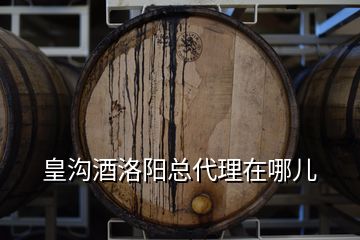 皇沟酒洛阳总代理在哪儿