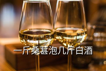 一斤桑葚泡几斤白酒