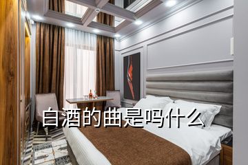 白酒的曲是吗什么