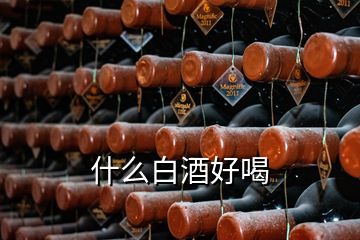 什么白酒好喝