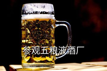 参观五粮液酒厂