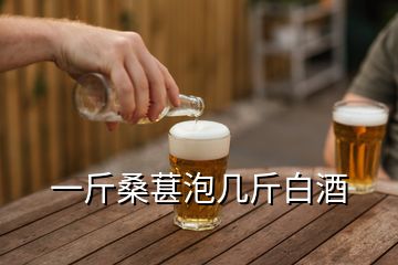 一斤桑葚泡几斤白酒