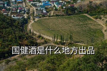 国健酒是什么地方出品