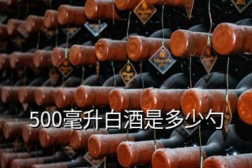 500毫升白酒是多少勺