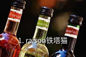 1. raison铁塔猫