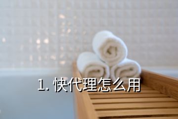 1. 快代理怎么用