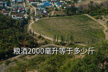 粮酒2000毫升等于多少斤