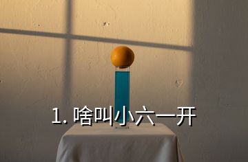 1. 啥叫小六一开