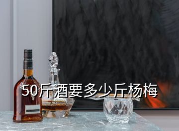 50斤酒要多少斤杨梅