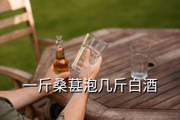 一斤桑葚泡几斤白酒