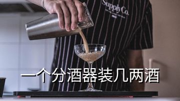 一个分酒器装几两酒