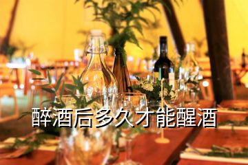 醉酒后多久才能醒酒