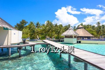 1. roy12头模