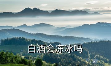 白酒会冻冰吗