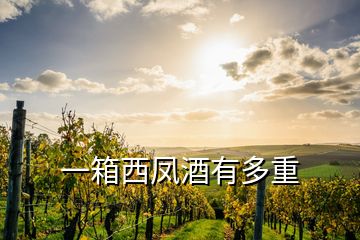 一箱西凤酒有多重