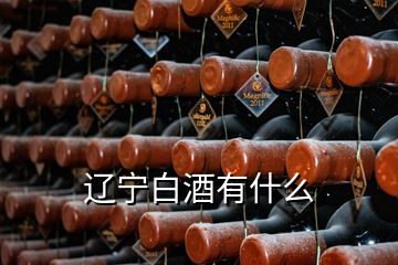 辽宁白酒有什么