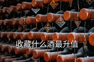 收藏什么酒最升值