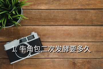 1. 牛角包二次发酵要多久