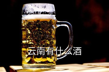 云南有什么酒