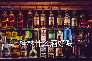 桂林什么酒好喝