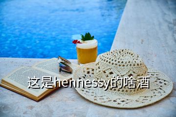 这是hennessy的啥酒