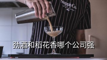 劲酒和稻花香哪个公司强