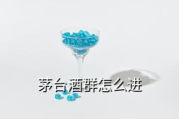 茅台酒群怎么进