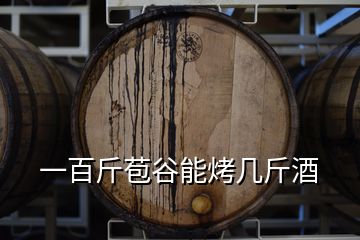 一百斤苞谷能烤几斤酒