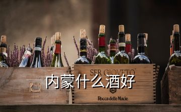 内蒙什么酒好