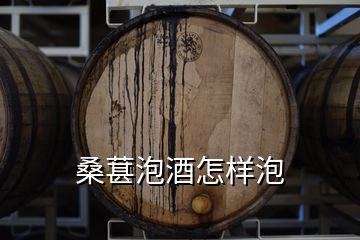 桑葚泡酒怎样泡