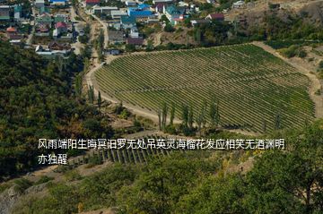 风雨端阳生晦冥汨罗无处吊英灵海榴花发应相笑无酒渊明亦独醒