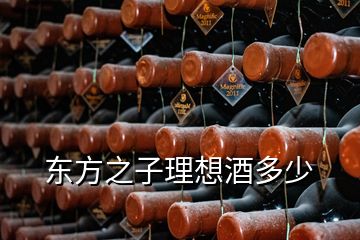 东方之子理想酒多少