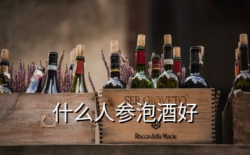 什么人参泡酒好