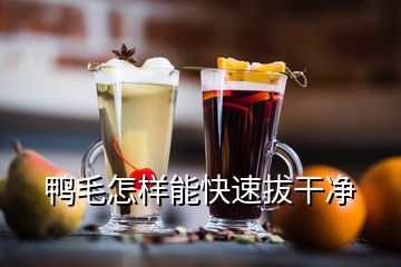 鸭毛怎样能快速拔干净