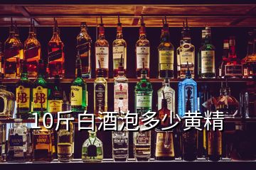 10斤白酒泡多少黄精