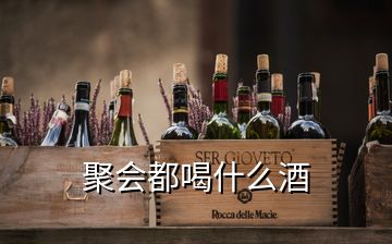 聚会都喝什么酒