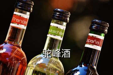 驼峰酒