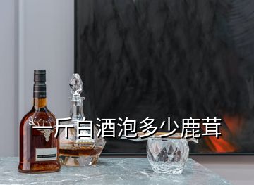 一斤白酒泡多少鹿茸