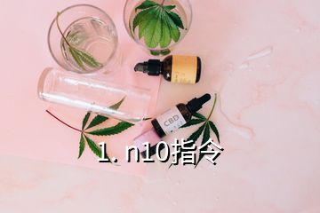 1. n10指令