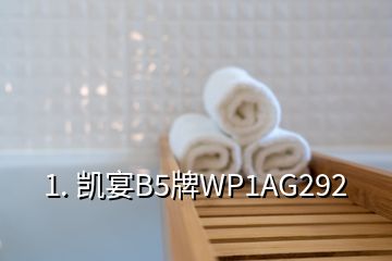 1. 凯宴B5牌WP1AG292