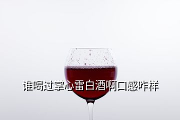 谁喝过掌心雷白酒啊口感咋样