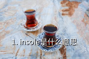 1. insole是什么意思