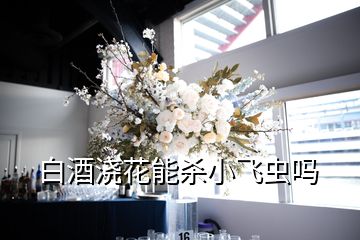 白酒浇花能杀小飞虫吗