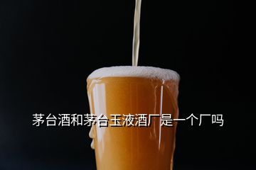 茅台酒和茅台玉液酒厂是一个厂吗