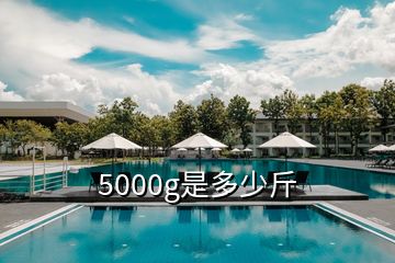 5000g是多少斤